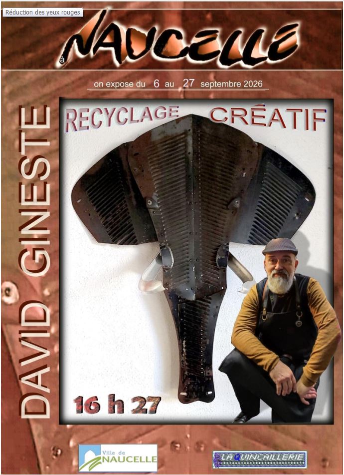 affiche expo Naucelle.JPG
